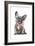 Frenchie X-Amanda Greenwood-Framed Art Print