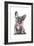 Frenchie X-Amanda Greenwood-Framed Art Print