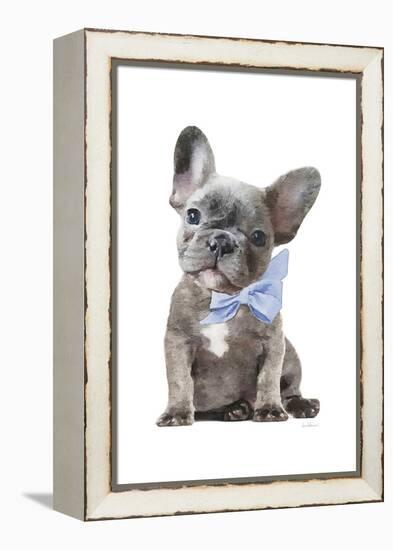 Frenchie XI-Amanda Greenwood-Framed Stretched Canvas