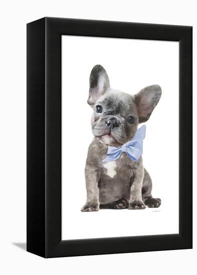 Frenchie XI-Amanda Greenwood-Framed Stretched Canvas