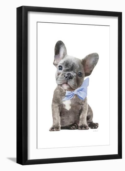 Frenchie XI-Amanda Greenwood-Framed Art Print