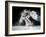 Frenzy-Pauline Pentony MA-Framed Photographic Print