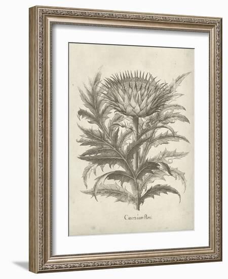 Fresco Artichoke I-Vision Studio-Framed Art Print