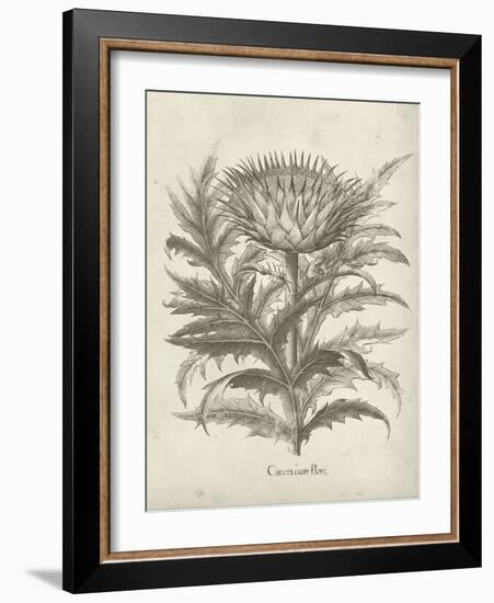 Fresco Artichoke I-Vision Studio-Framed Art Print