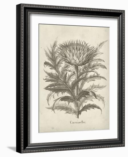 Fresco Artichoke I-Vision Studio-Framed Art Print