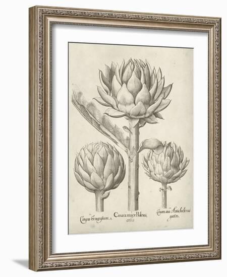 Fresco Artichoke II-Vision Studio-Framed Art Print