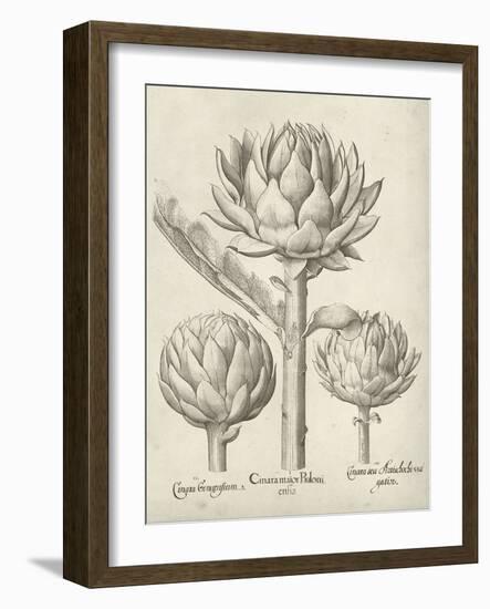 Fresco Artichoke II-Vision Studio-Framed Art Print