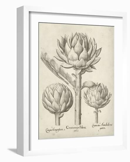 Fresco Artichoke II-Vision Studio-Framed Art Print