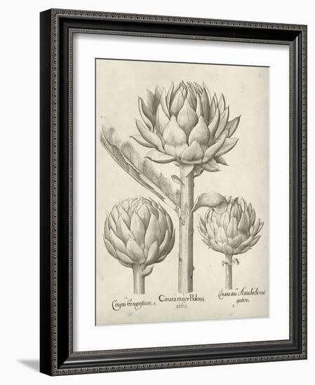 Fresco Artichoke II-Vision Studio-Framed Art Print