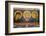 Fresco Icon in the Cathedral of the Nativity Suzdal, Suzdal, Russia-Kymri Wilt-Framed Photographic Print