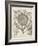 Fresco Sunflower I-Vision Studio-Framed Art Print