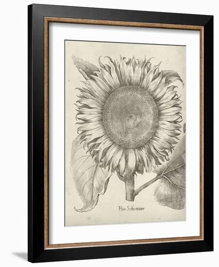 Fresco Sunflower I-Vision Studio-Framed Art Print