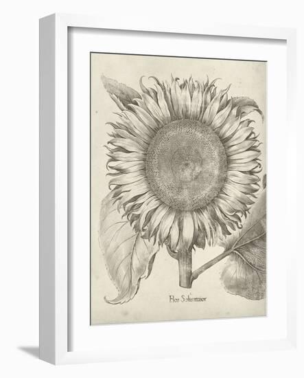 Fresco Sunflower I-Vision Studio-Framed Art Print