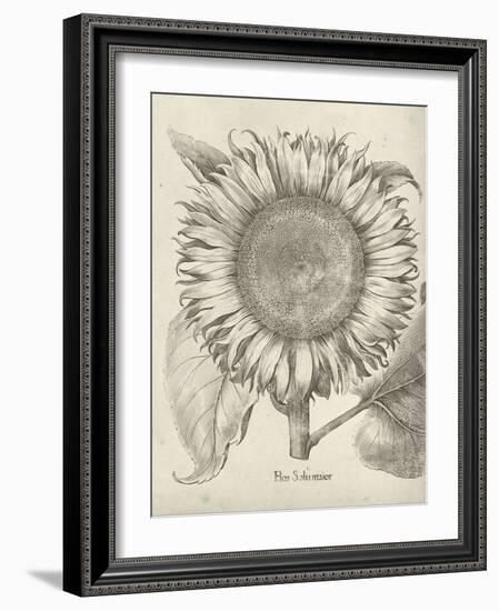 Fresco Sunflower I-Vision Studio-Framed Art Print