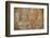 Frescoes at the Tivanka Image House, Polonnaruwa, UNESCO World Heritage Site, Sri Lanka, Asia-Matthew Williams-Ellis-Framed Photographic Print