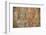 Frescoes at the Tivanka Image House, Polonnaruwa, UNESCO World Heritage Site, Sri Lanka, Asia-Matthew Williams-Ellis-Framed Photographic Print