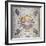 Frescoes by Giuseppe Mattia Borgnis-null-Framed Giclee Print