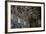 Frescoes of the Ceiling of Sistine Chapel-Michelangelo Schiavoni-Framed Giclee Print