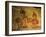 Frescoes, Sigiriya (Lion Rock), UNESCO World Heritage Site, Sri Lanka, Asia-Jochen Schlenker-Framed Photographic Print