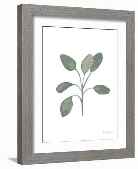 Fresh and Green VII Dark-Farida Zaman-Framed Art Print