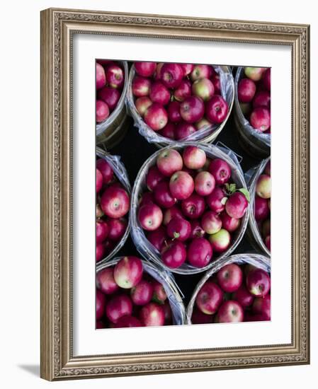 Fresh Apples, Beulah, Lake Michigan Shore, Michigan, USA-Walter Bibikow-Framed Photographic Print