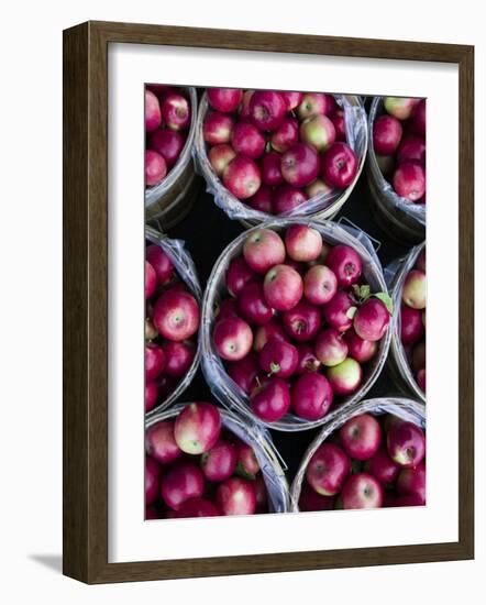 Fresh Apples, Beulah, Lake Michigan Shore, Michigan, USA-Walter Bibikow-Framed Photographic Print