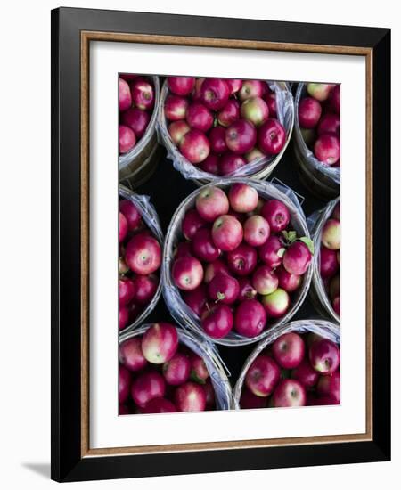 Fresh Apples, Beulah, Lake Michigan Shore, Michigan, USA-Walter Bibikow-Framed Photographic Print