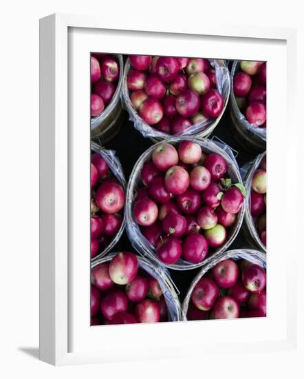 Fresh Apples, Beulah, Lake Michigan Shore, Michigan, USA-Walter Bibikow-Framed Photographic Print