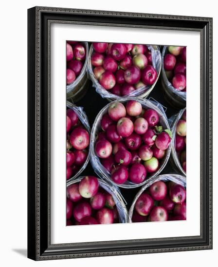 Fresh Apples, Beulah, Lake Michigan Shore, Michigan, USA-Walter Bibikow-Framed Photographic Print