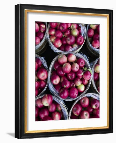 Fresh Apples, Beulah, Lake Michigan Shore, Michigan, USA-Walter Bibikow-Framed Photographic Print