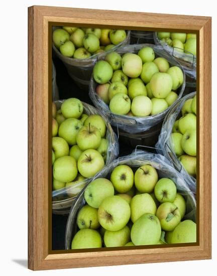 Fresh Apples, Beulah, Lake Michigan Shore, Michigan, USA-Walter Bibikow-Framed Premier Image Canvas