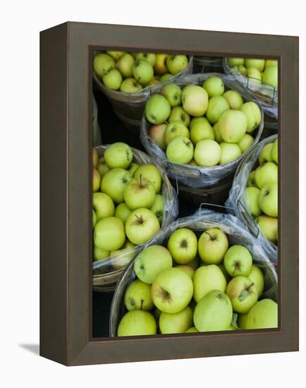 Fresh Apples, Beulah, Lake Michigan Shore, Michigan, USA-Walter Bibikow-Framed Premier Image Canvas