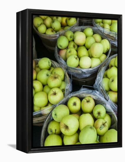 Fresh Apples, Beulah, Lake Michigan Shore, Michigan, USA-Walter Bibikow-Framed Premier Image Canvas