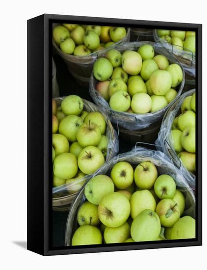 Fresh Apples, Beulah, Lake Michigan Shore, Michigan, USA-Walter Bibikow-Framed Premier Image Canvas