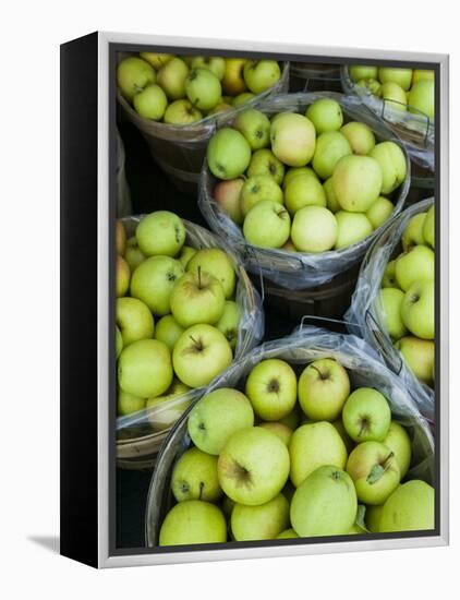 Fresh Apples, Beulah, Lake Michigan Shore, Michigan, USA-Walter Bibikow-Framed Premier Image Canvas