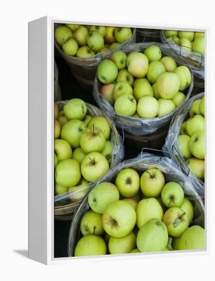 Fresh Apples, Beulah, Lake Michigan Shore, Michigan, USA-Walter Bibikow-Framed Premier Image Canvas