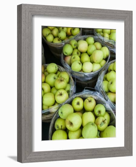 Fresh Apples, Beulah, Lake Michigan Shore, Michigan, USA-Walter Bibikow-Framed Photographic Print