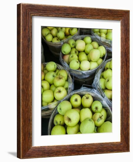 Fresh Apples, Beulah, Lake Michigan Shore, Michigan, USA-Walter Bibikow-Framed Photographic Print