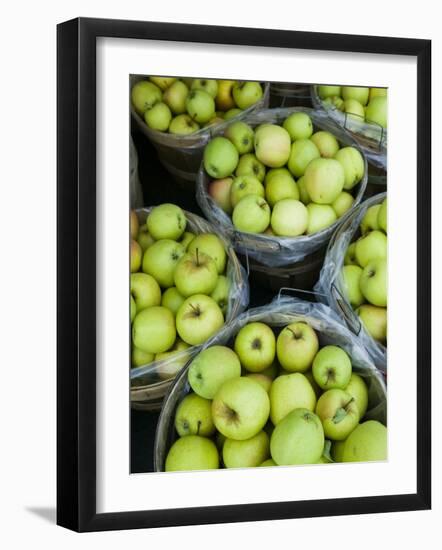 Fresh Apples, Beulah, Lake Michigan Shore, Michigan, USA-Walter Bibikow-Framed Photographic Print