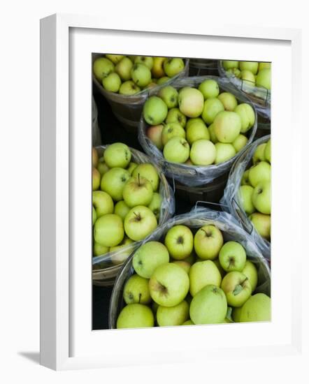 Fresh Apples, Beulah, Lake Michigan Shore, Michigan, USA-Walter Bibikow-Framed Photographic Print