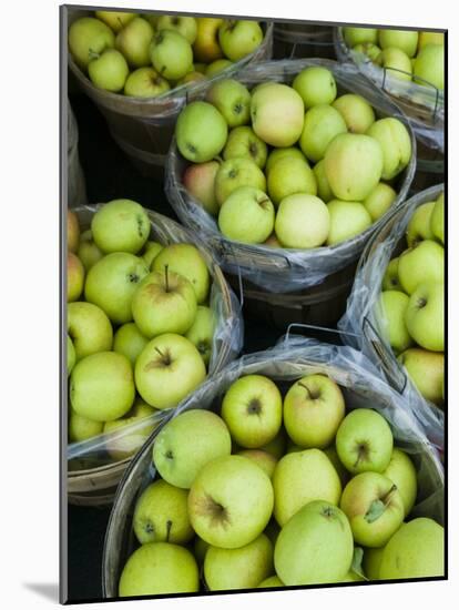 Fresh Apples, Beulah, Lake Michigan Shore, Michigan, USA-Walter Bibikow-Mounted Photographic Print