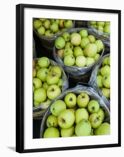 Fresh Apples, Beulah, Lake Michigan Shore, Michigan, USA-Walter Bibikow-Framed Photographic Print