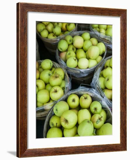 Fresh Apples, Beulah, Lake Michigan Shore, Michigan, USA-Walter Bibikow-Framed Photographic Print