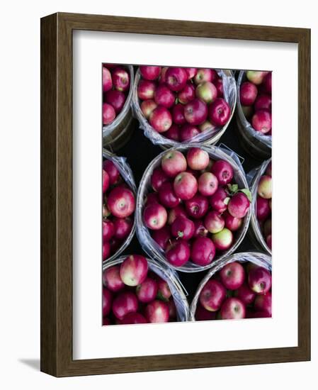 Fresh Apples, Beulah, Lake Michigan Shore, Michigan, USA-Walter Bibikow-Framed Photographic Print