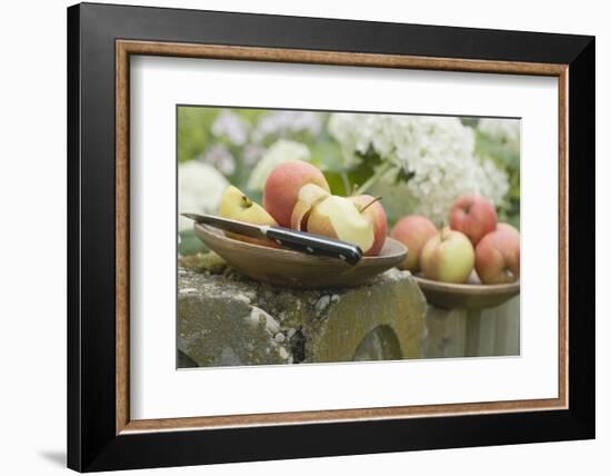 Fresh Apples, One Partly Peeled, on a Fence-Eising Studio - Food Photo and Video-Framed Photographic Print