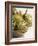 Fresh Artichokes-Debi Treloar-Framed Photographic Print