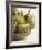 Fresh Artichokes-Debi Treloar-Framed Photographic Print