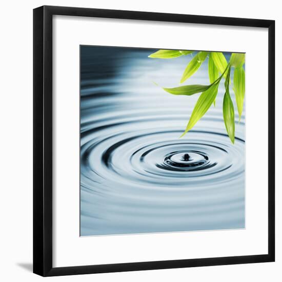 Fresh Bamboo Leaves over Water-null-Framed Photographic Print