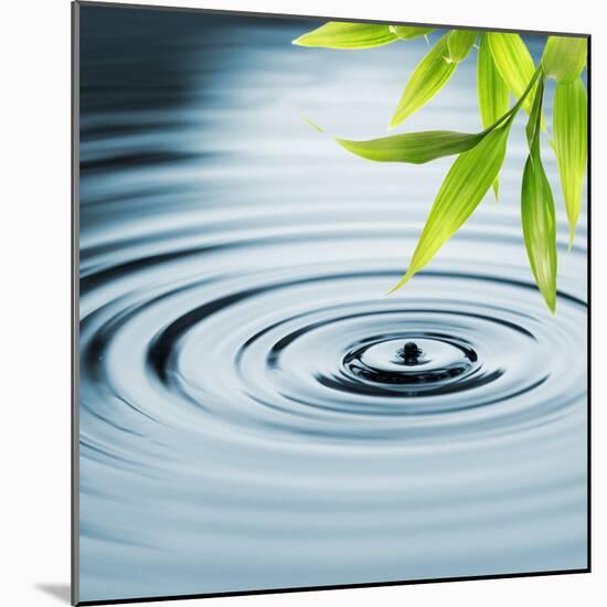 Fresh Bamboo Leaves over Water-null-Mounted Photographic Print