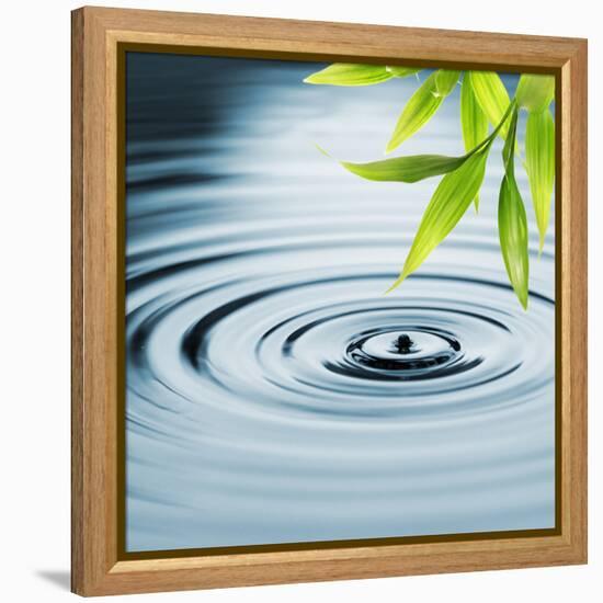 Fresh Bamboo Leaves over Water-null-Framed Stretched Canvas